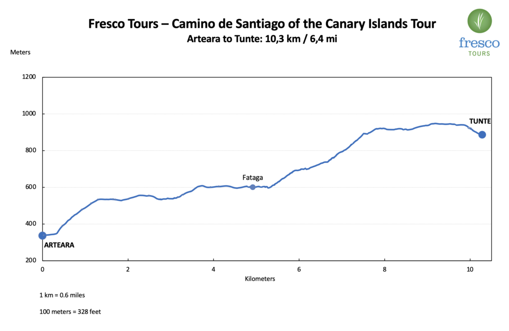 Elevation Profile for the Arteara to Tunte stage on the Camino de Santiago of the Canary Islands 