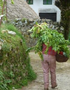 Caldo Gallego a hearty soup which is the perfect fuel for pilgrims walking the Camino de Santiago