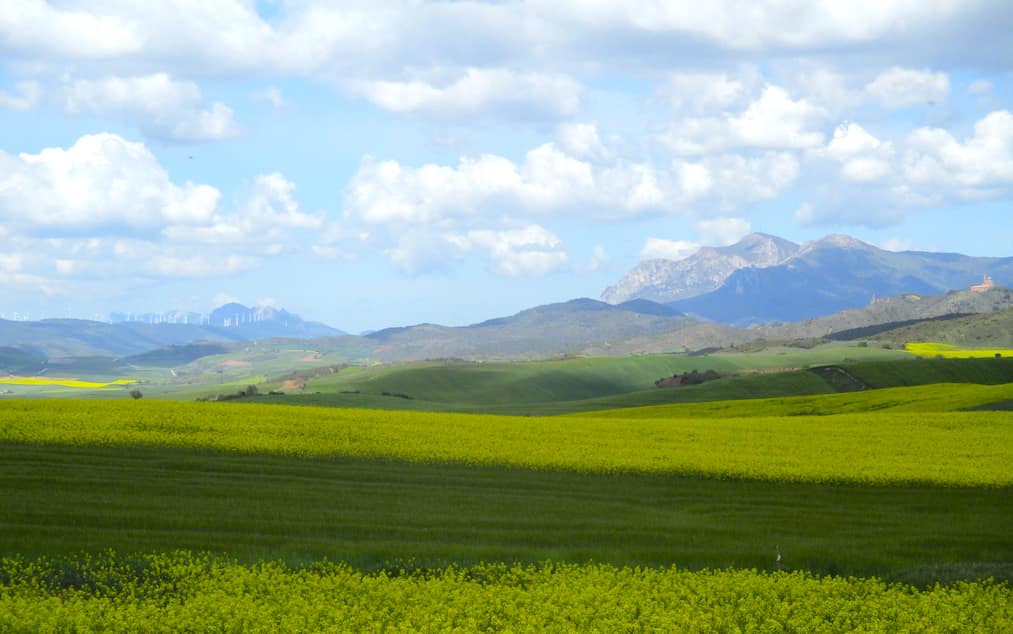 Views of Navarra from the Camino
