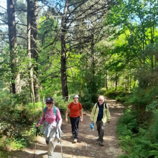 Camino de Santiago Fresco Tours