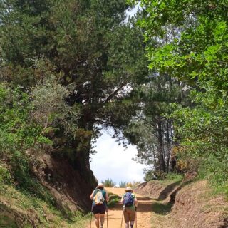 Camino de Santiago Fresco Tours