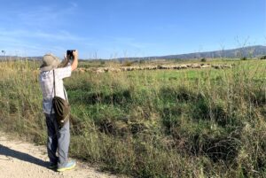 Camino de Santiago pilgrim in nature