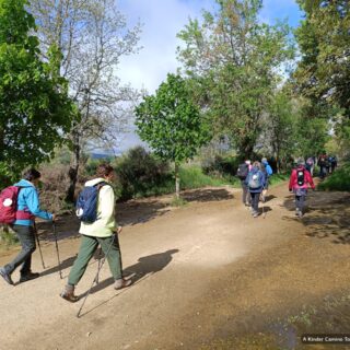 Camino de Santiago Fresco Tours