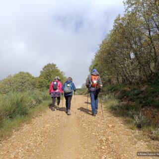 Camino de Santiago Fresco Tours