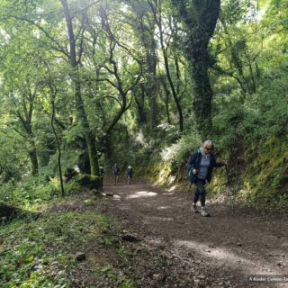 Camino de Santiago Fresco Tours