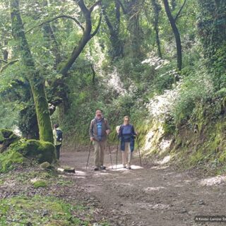 Camino de Santiago Fresco Tours