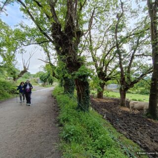 Camino de Santiago Fresco Tours