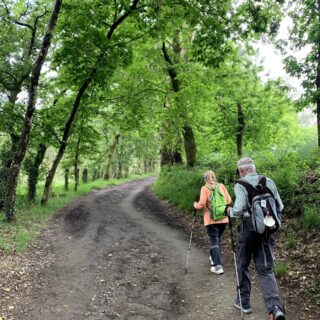 Camino de Santiago Fresco Tours