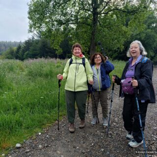 Camino de Santiago Fresco Tours