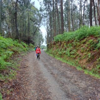 Camino de Santiago Fresco Tours 