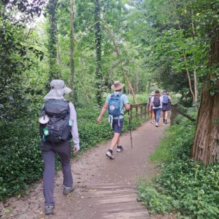 Camino de Santiago Fresco Tours 