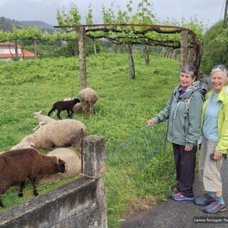 Camino de Santiago Fresco Tours 