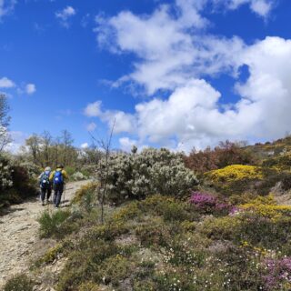 Camino de Santiago Fresco Tours. 