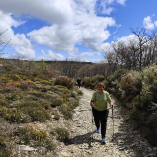 Camino de Santiago Fresco Tours. 