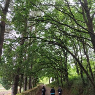 Camino de Santiago Fresco Tours. 