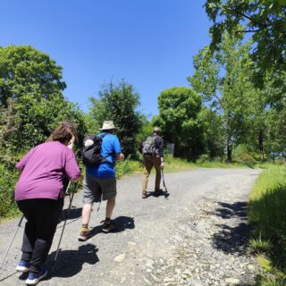 Camino de Santiago Fresco Tours. 