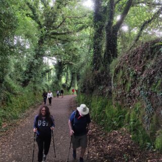 Camino de Santiago Fresco Tours. 