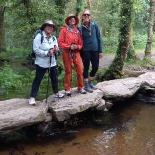 Camino de Santiago Fresco Tours. 