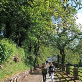 Camino de Santiago Fresco Tours. 