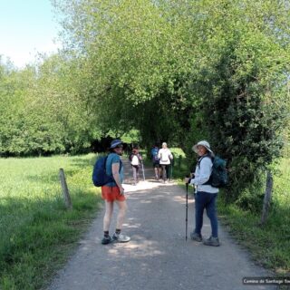 Camino de Santiago Fresco Tours. 