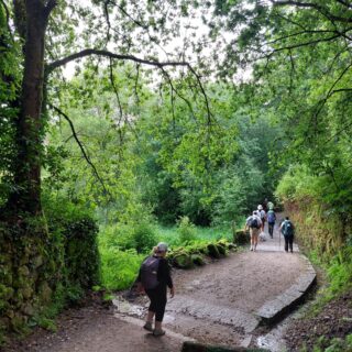 Camino de Santiago Fresco Tours