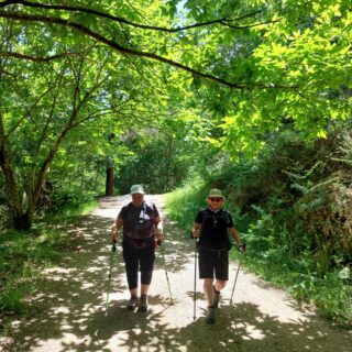 Camino de Santiago Fresco Tours