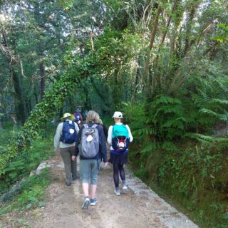 Camino de Santiago Fresco Tours