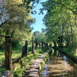 Camino de Santiago Fresco Tours