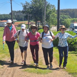 Camino de Santiago Fresco Tours