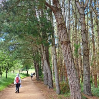 Camino de Santiago Fresco Tours