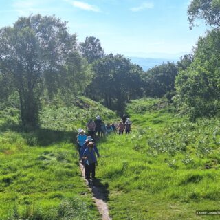 Camino de Santiago Fresco Tours