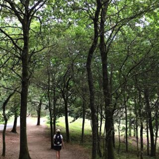 Camino de Santiago Camino Portugués