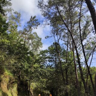 Camino de Santiago Camino Portugués