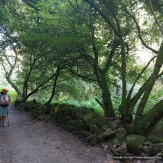 Camino de Santiago Camino Portugués