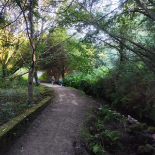 Camino de Santiago Camino Portugués