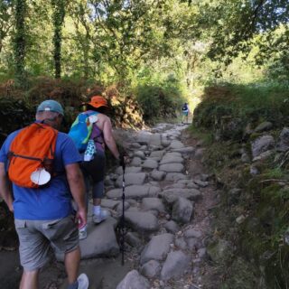 Camino de Santiago Camino Portugués