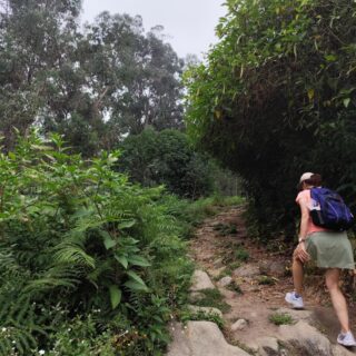 Camino de Santiago Camino Portugués