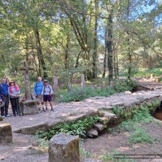 Camino de Santiago Fresco Tours