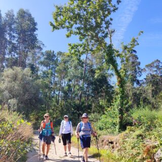 Camino de Santiago Fresco Tours