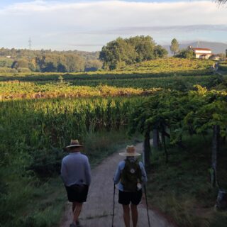 Camino de Santiago Fresco Tours