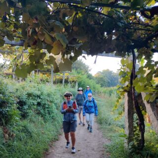 Camino de Santiago Fresco Tours