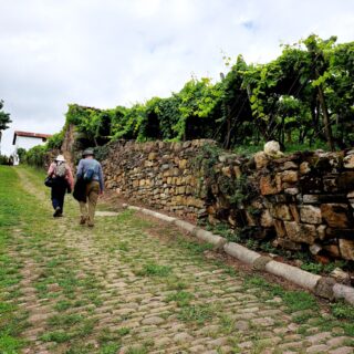 Camino de Santiago Fresco Tours