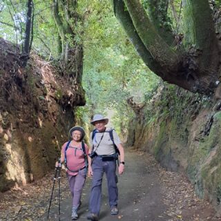 Camino de Santiago Tour Fresco Tours