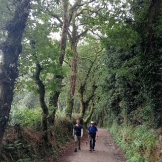 Camino de Santiago Tour Fresco Tours