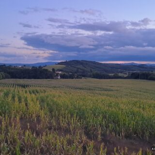 Camino de Santiago Tour Fresco Tours