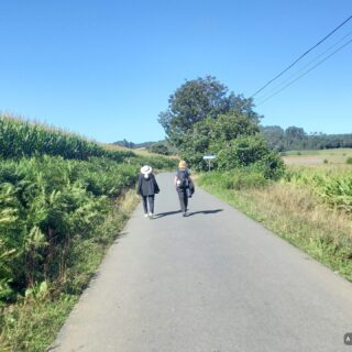 Camino de Santiago Fresco Tours