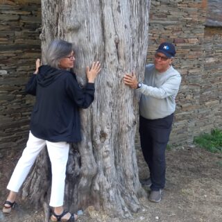 Camino de Santiago Fresco Tours