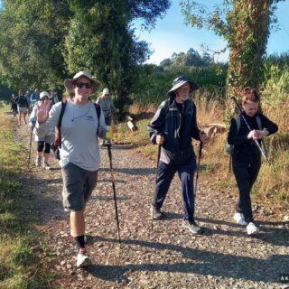 Camino de Santiago Fresco Tours