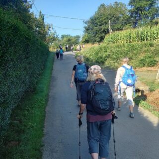 Camino de Santiago Fresco Tours