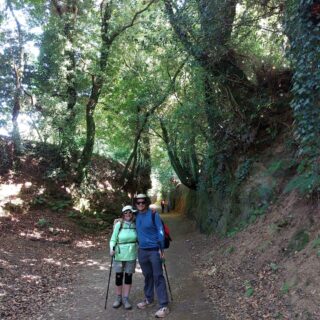 Camino de Santiago Fresco Tours